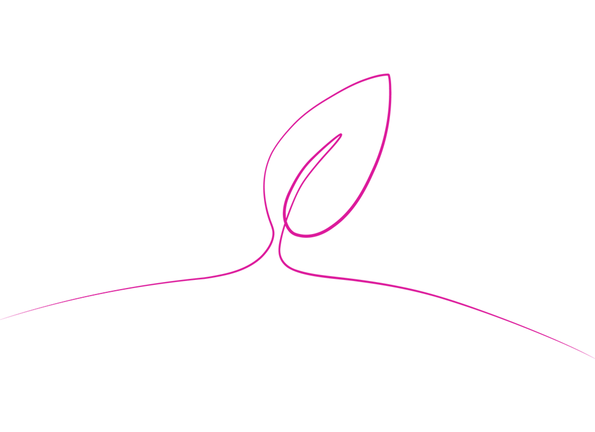 Illustration depicting a leaf